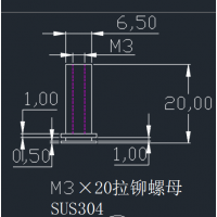 不锈钢盲孔拉铆螺母加工